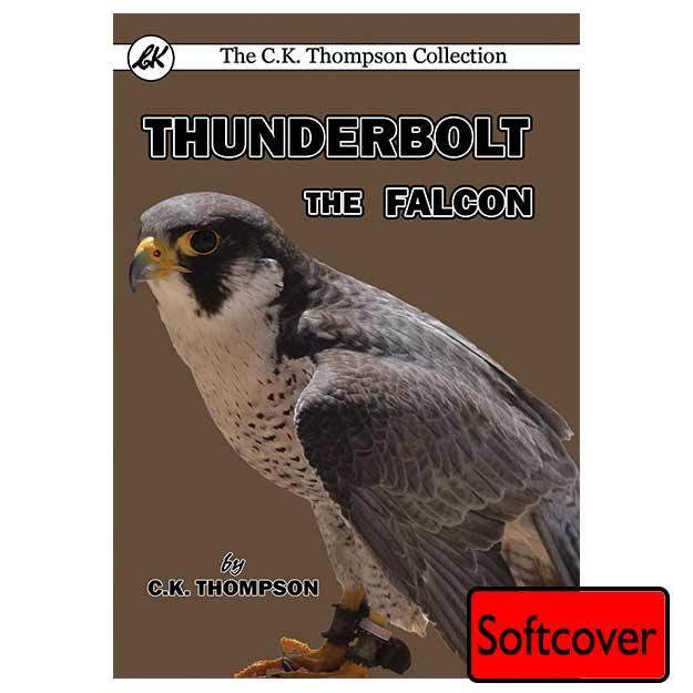 Thunderbolt the Falcon