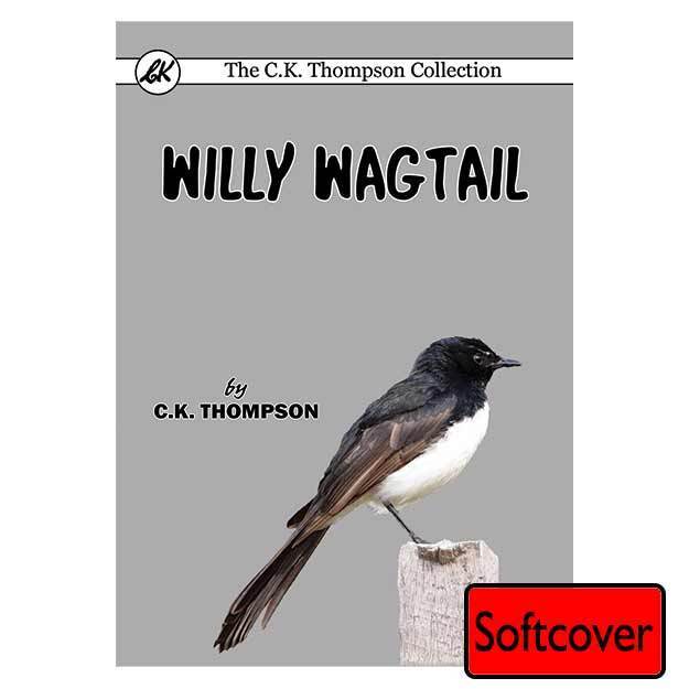 Willy Wagtail