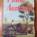 I Find Australia