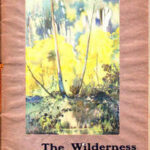 The Wilderness